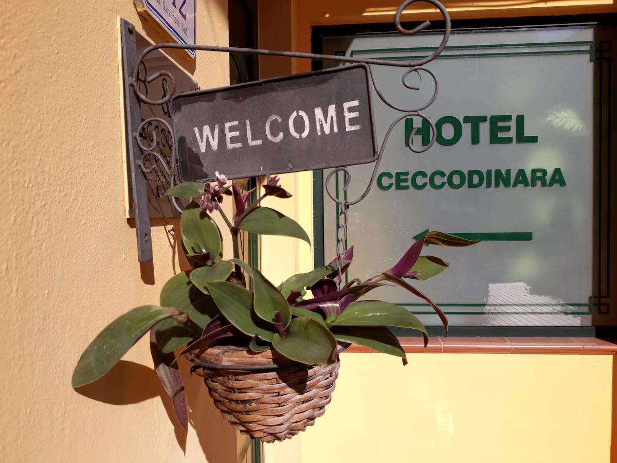 Cecco Di Nara Hotel Massarosa Exterior foto